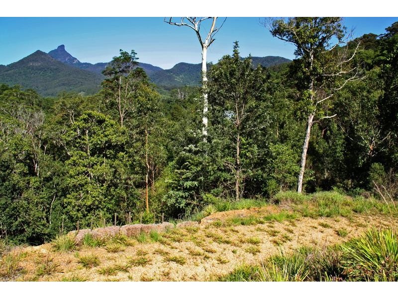 156 Braeside  Dr, Uki NSW 2484