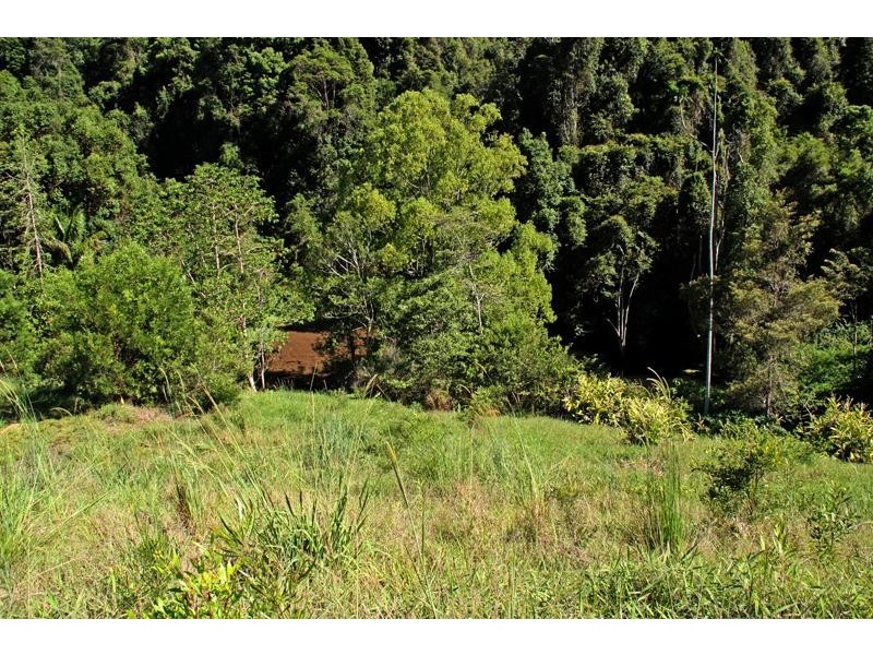 156 Braeside  Dr, Uki NSW 2484