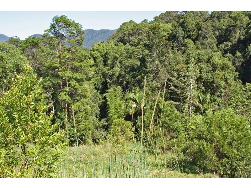 156 Braeside  Dr, Uki NSW 2484