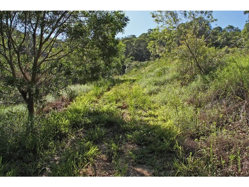 156 Braeside  Dr, Uki NSW 2484