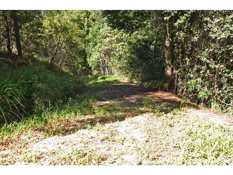 156 Braeside  Dr, Uki NSW 2484