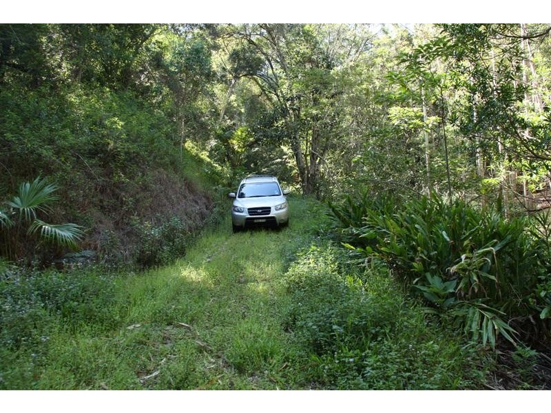 156 Braeside  Dr, Uki NSW 2484