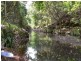 35 Hickory Way, Uki NSW 2484