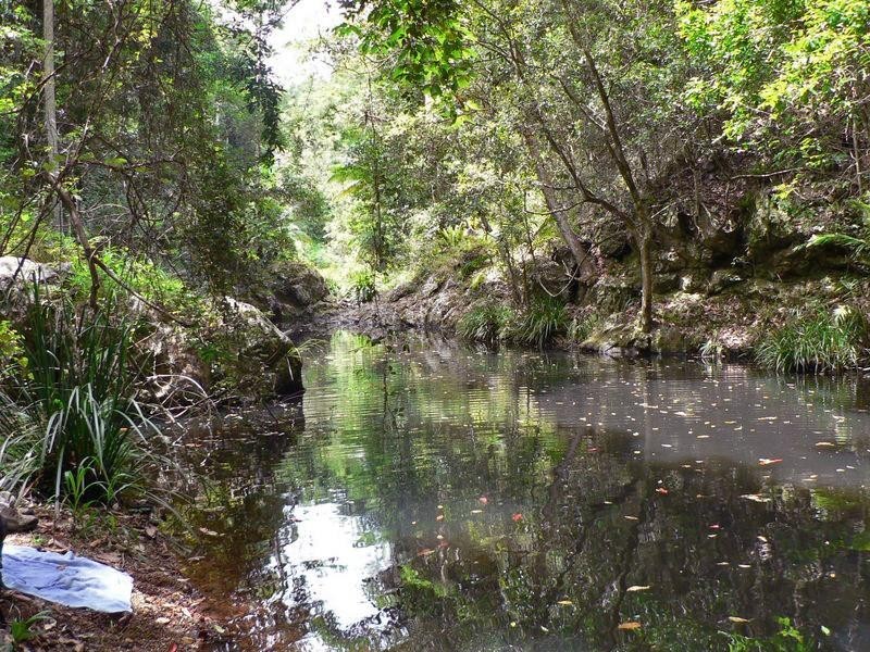 35 Hickory Way, Uki NSW 2484