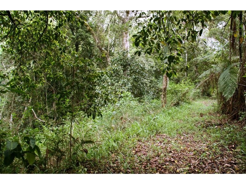 35 Hickory Way, Uki NSW 2484