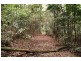 35 Hickory Way, Uki NSW 2484
