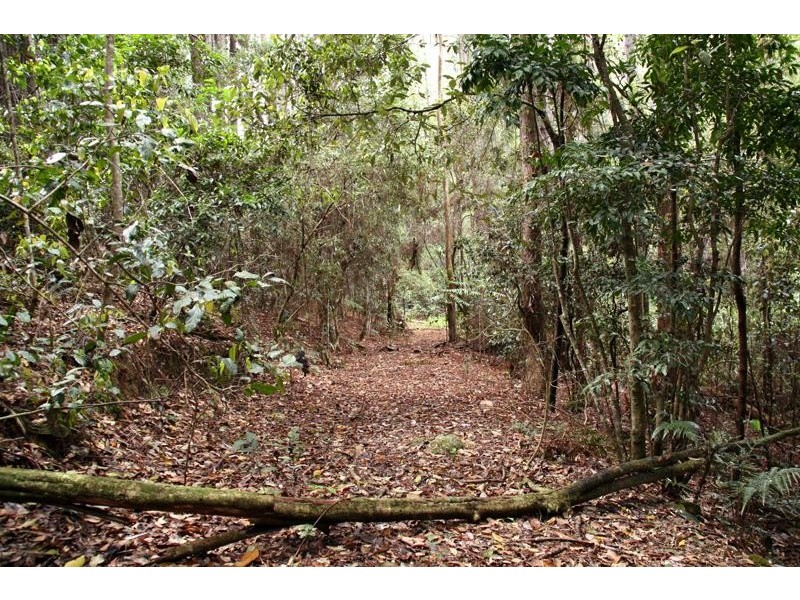 35 Hickory Way, Uki NSW 2484