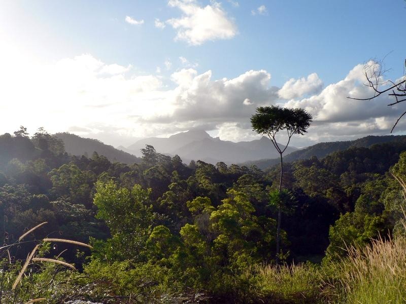 35 Hickory Way, Uki NSW 2484