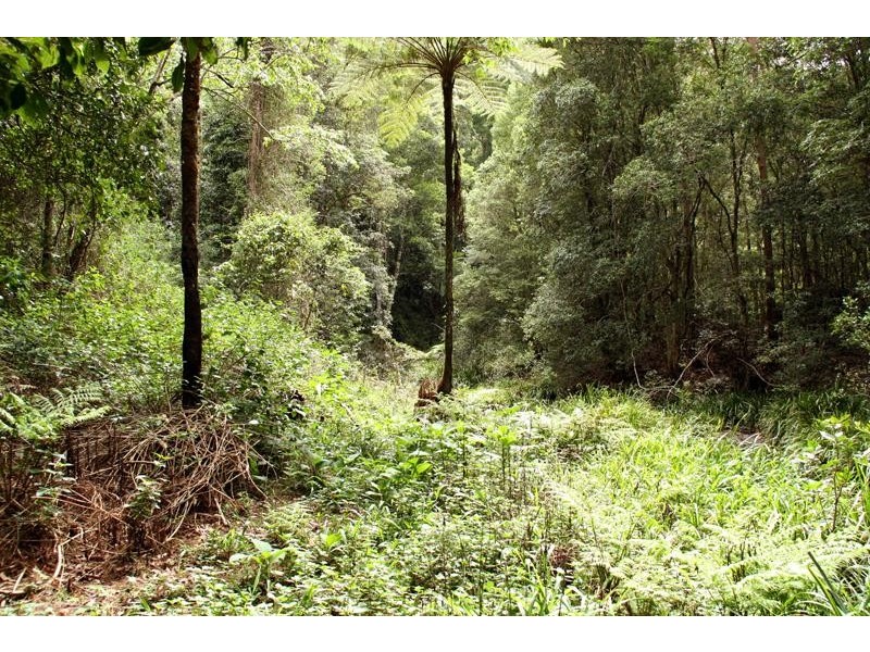 35 Hickory Way, Uki NSW 2484