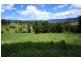 1641 Tyalgum Rd, Tyalgum NSW 2484