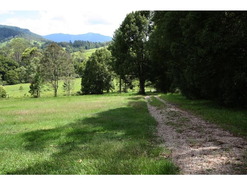 1641 Tyalgum Rd, Tyalgum NSW 2484