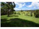 1641 Tyalgum Rd, Tyalgum NSW 2484