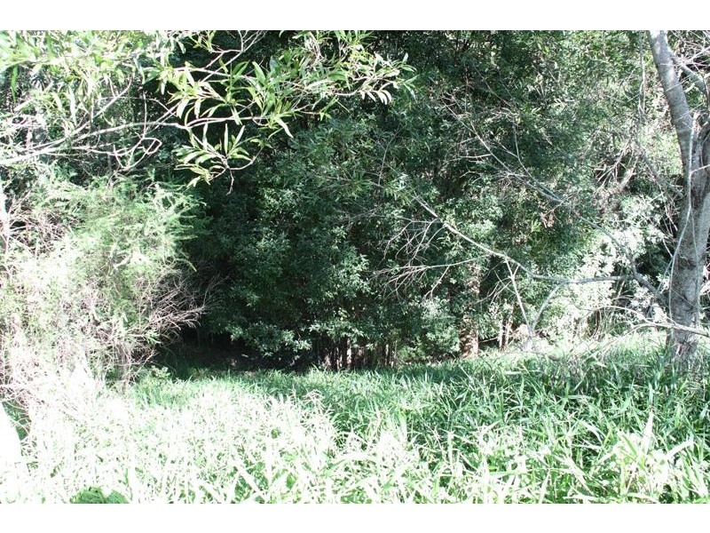 69 Clareville Rd, Uki NSW 2484