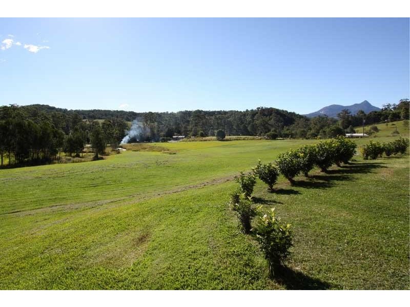 Mount Burrell NSW 2484
