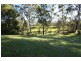 Mount Burrell NSW 2484