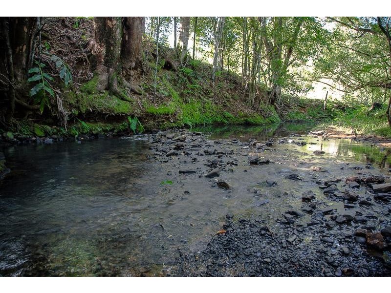 Nobbys Creek NSW 2484