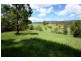 1641 Tyalgum Rd, Tyalgum NSW 2484
