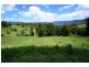 1641 Tyalgum Rd, Tyalgum NSW 2484