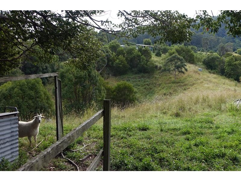 245 Blakeneys Rd, Stokers Siding NSW 2484