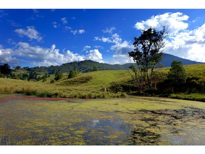 714 Limpinwood Rd, Limpinwood NSW 2484