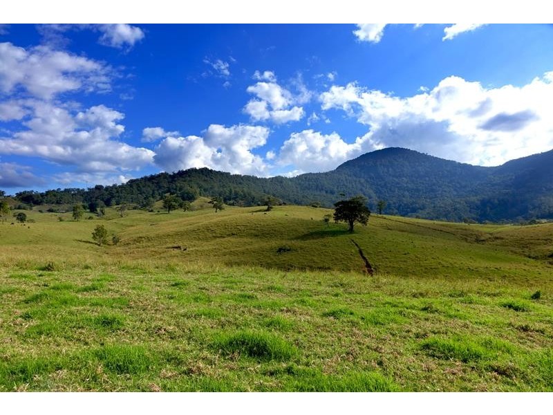 714 Limpinwood Rd, Limpinwood NSW 2484