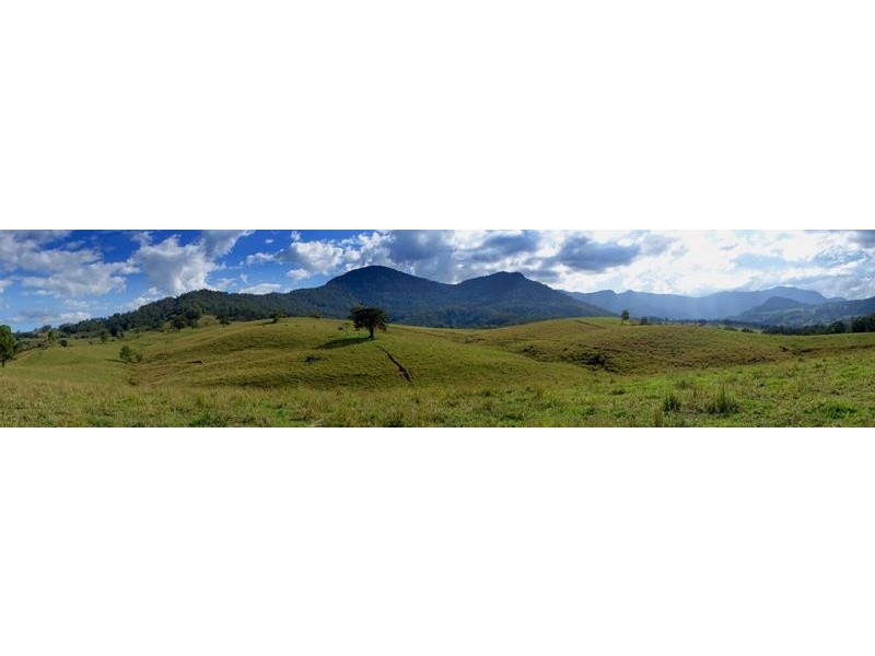 714 Limpinwood Rd, Limpinwood NSW 2484