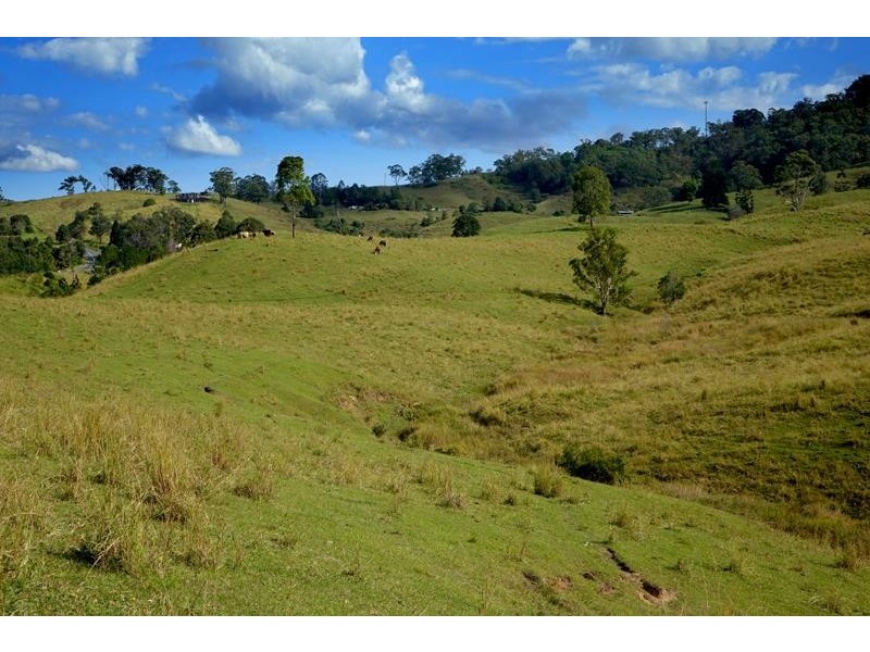 714 Limpinwood Rd, Limpinwood NSW 2484