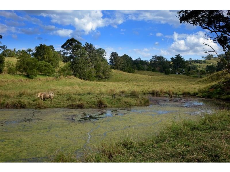 714 Limpinwood Rd, Limpinwood NSW 2484