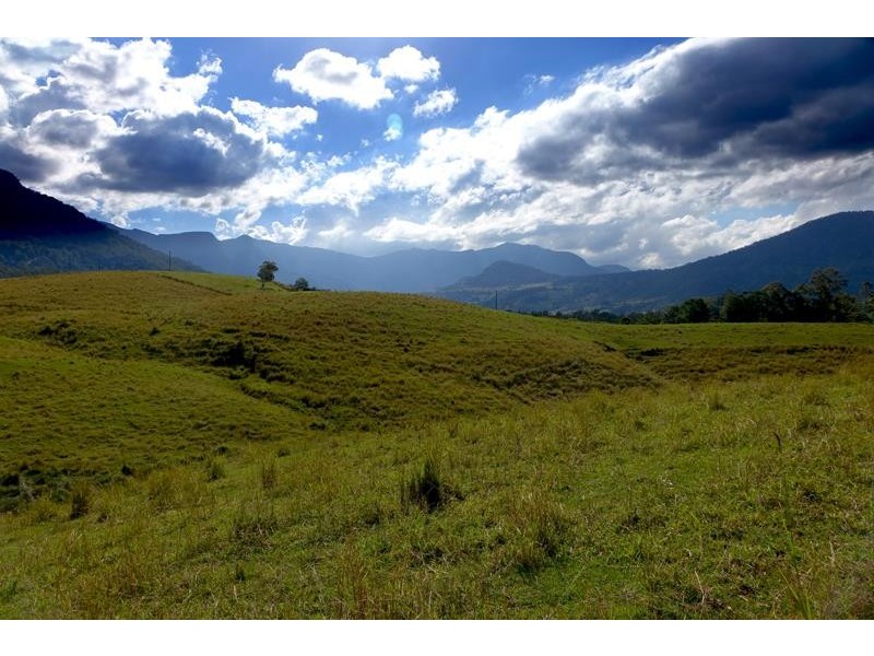 714 Limpinwood Rd, Limpinwood NSW 2484