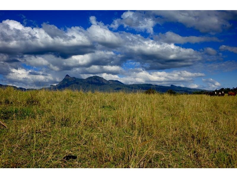 714 Limpinwood Rd, Limpinwood NSW 2484