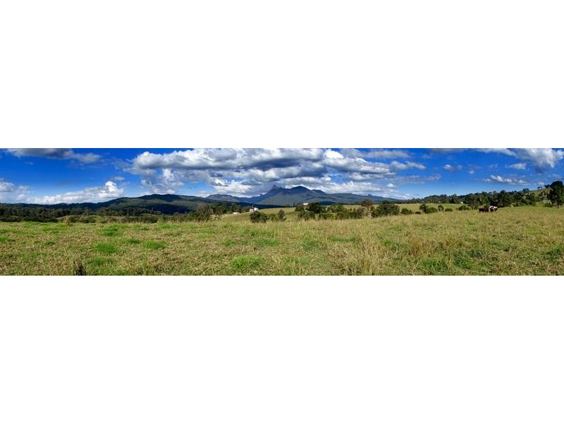 714 Limpinwood Rd, Limpinwood NSW 2484