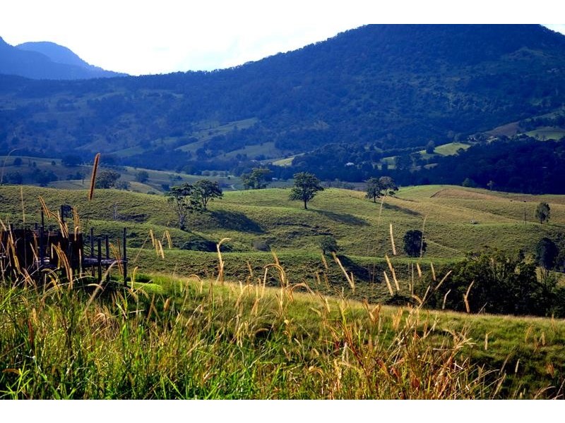 714 Limpinwood Rd, Limpinwood NSW 2484