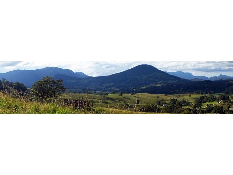 714 Limpinwood Rd, Limpinwood NSW 2484