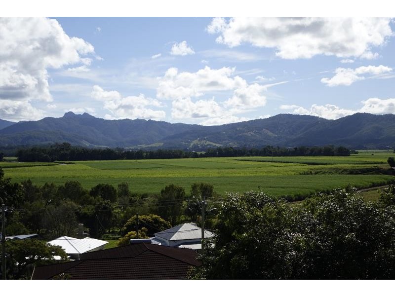 71 Ewing St, Murwillumbah NSW 2484