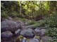 Lot 71 Cedar Creek Rd, Cedar Creek NSW 2484