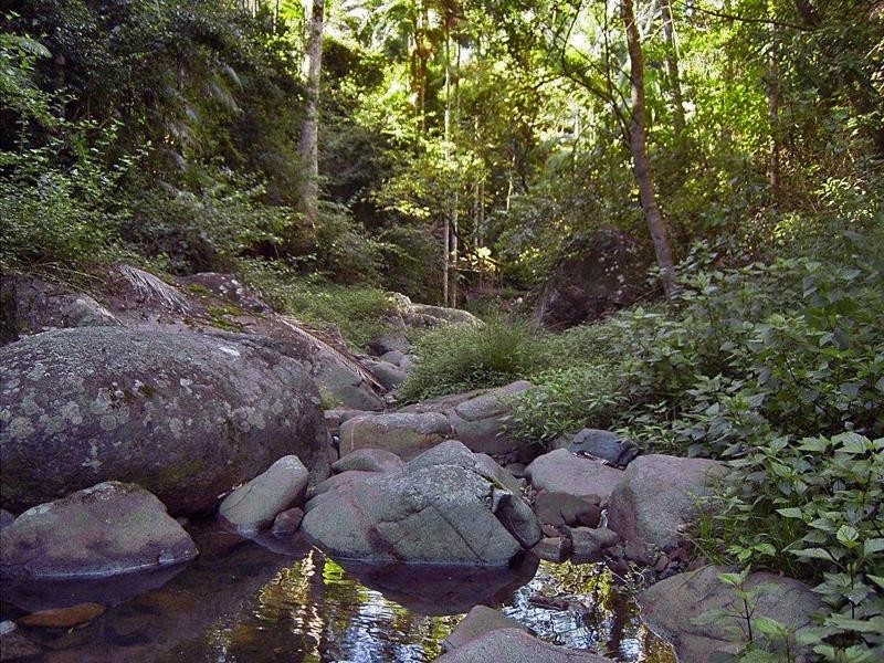Lot 71 Cedar Creek Rd, Cedar Creek NSW 2484