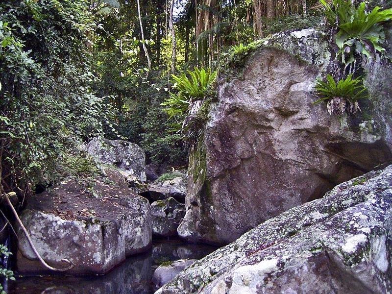 Lot 71 Cedar Creek Rd, Cedar Creek NSW 2484