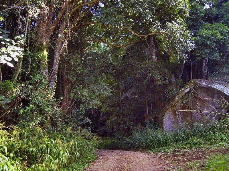 Lot 71 Cedar Creek Rd, Cedar Creek NSW 2484