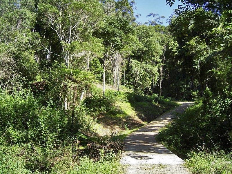 Lot 71 Cedar Creek Rd, Cedar Creek NSW 2484