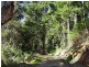 Lot 71 Cedar Creek Rd, Cedar Creek NSW 2484