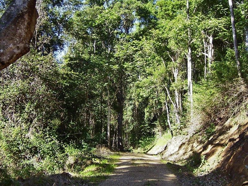 Lot 71 Cedar Creek Rd, Cedar Creek NSW 2484