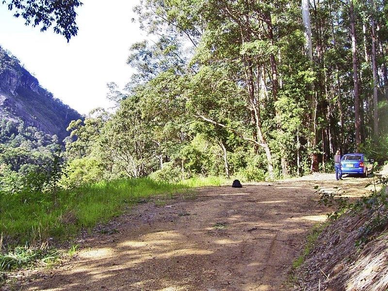 Lot 71 Cedar Creek Rd, Cedar Creek NSW 2484