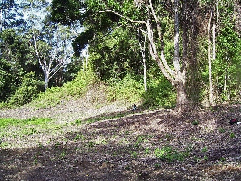 Lot 71 Cedar Creek Rd, Cedar Creek NSW 2484