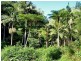 Lot 71 Cedar Creek Rd, Cedar Creek NSW 2484