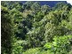 Lot 71 Cedar Creek Rd, Cedar Creek NSW 2484
