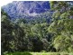 Lot 71 Cedar Creek Rd, Cedar Creek NSW 2484