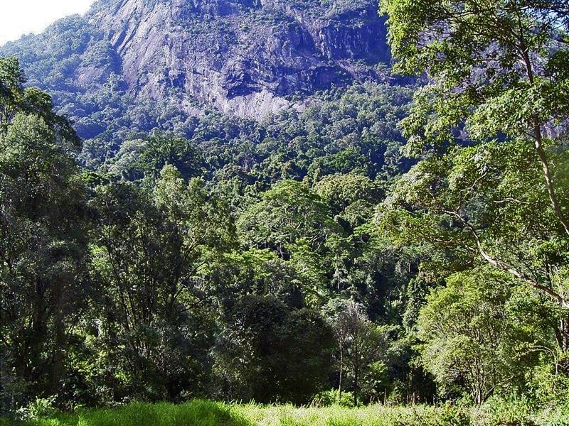 Lot 71 Cedar Creek Rd, Cedar Creek NSW 2484