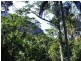 Lot 71 Cedar Creek Rd, Cedar Creek NSW 2484