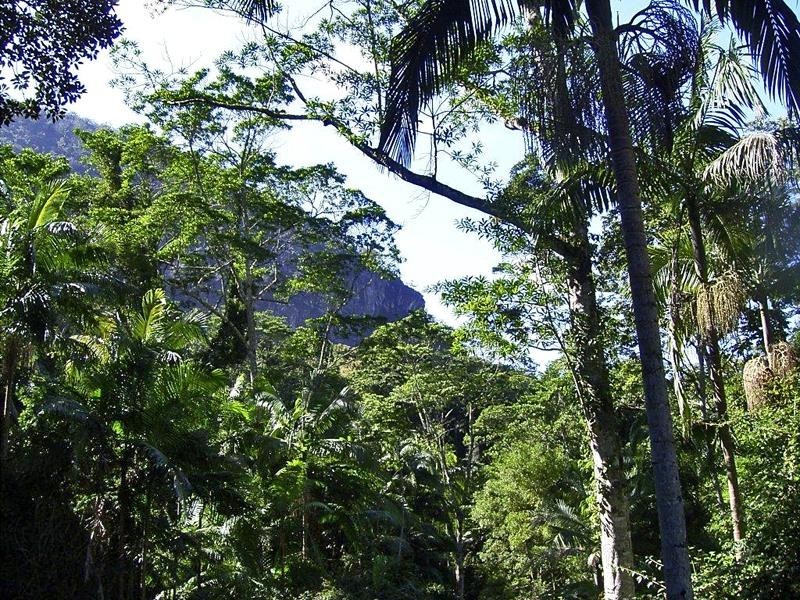 Lot 71 Cedar Creek Rd, Cedar Creek NSW 2484