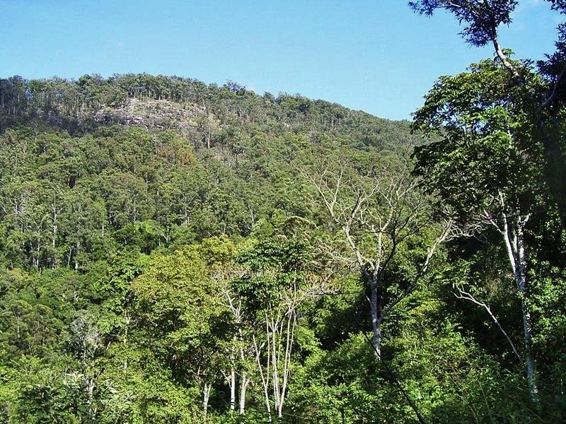 Lot 71 Cedar Creek Rd, Cedar Creek NSW 2484